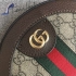 Gucci Bag 109